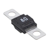 Circuit Protection - Fuses - 1361569-0498080.MXM6-CN - Win Source Electronics