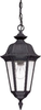 Exterior -Hanging - 29602 - Light Center (The)