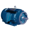 Motor - Radwell International