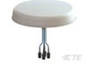 Antennas - CMQ69273P-B30NF - TE Connectivity