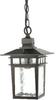 Exterior -Hanging - 652491 - Light Center (The)