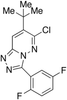 7-tert-Butyl-6-chloro-3-(2,5-difluorophenyl)-1,2,4-triazol.. - 7961 - Medical Isotopes, Inc.
