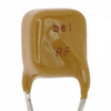 PTC Resettable Fuses -- 0ZRF0012FF2B-ND - Image