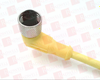QD Cable/Cord Set - 65318616 - Radwell International
