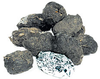 Small Barn Owl Pellets - 015A - Parco Scientific Company