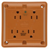 Quad Receptacle - IG415 - Hubbell Wiring Device-Kellems