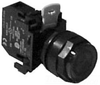 Illuminated Pushbutton -- E22TB3X10A