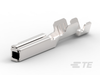 Automotive Terminals - 2-1393366-2 - TE Connectivity