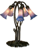 15856 Lamps-Table Lamps - 784675 - Capital Lighting, Inc.