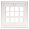 Datacommunication Face Plate -- IFP212W - Image