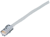 30-ft. BG CAT5e Solid Conductor Patch Cable CM -- EYN556MS-0030 - Image