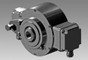 Speed Switch -- HOG 165 + DSL.E - Image