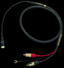 Golden Reference Phono - Image