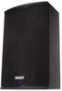 Point Source, Constant Directivity SuperDual Loudspeaker - VNET300 - Visual Sound, Inc.