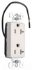 Duplex/Single Receptacle - PTTR26362-SCW - Thomas & Betts Corporation