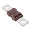 Fuses - 153.5395.6501-ND - DigiKey