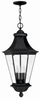 Exterior -Hanging - 259122 - Light Center (The)