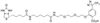 2-[2-[2-[2-[6-(Biotinylaminohexanoyl]aminoethoxy]ethoxy]et.. - B394857 - Toronto Research Chemicals, Inc.