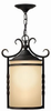 1142OL-DS Exterior -Hanging - 405141 - Capital Lighting, Inc.