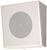 Slant Front Surface Mounted Speaker -- 49940