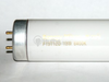 15 Watt, 18 Inch T12 Daylight White Fluorescent Bulb -- B501216 - Image