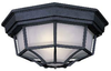 Exterior -Ceiling Mount - 214730 - Light Center (The)