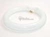 22 Watt, 8" Diameter Daylight White T9 Circline Bulb -- 17429 - Image