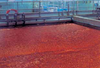 Membrane Pretreatment - Leopold® Clari-DAF® MP System - F.B. Leopold, a Xylem brand
