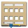 ICC Double Gang Faceplate with Station ID-8 Port - IC107SD8 - TelephoneStuff.com