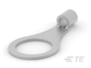 Ring Terminals - 2-34126-2 - TE Connectivity