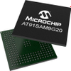 Microcontrollers - 352135 - RS Components, Ltd.