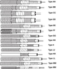 RF Coaxial Cables - Dielectric Polytetrafluoroethylene (PTFE) Coaxial Cable - Image
