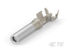 Automotive Terminals - 1062-16-0644-PS - TE Connectivity
