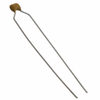 Ceramic Capacitors - SR275C104KAR - ODG (Origin Data Global)
