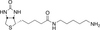 5-(Biotinamido)pentylamine -- B390340 - Image
