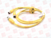 QD Cable/Cord Set - 4200465 - Radwell International