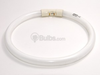 22 Watt, 9" Diameter Cool White T5 Circline Bulb - 166009 - bulbs.com