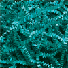 10 lb. Teal - Crinkle Paper - CP10R - TransPak
