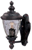 Exterior -Wall Mount - 4341 - Light Center (The)