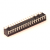 Headers, Receptacles, Female Sockets - 900-0873683624-ND - DigiKey
