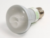 Frosted DIMMABLE/FLASHABLE R20 PURE/Cold Cathode Lamp. - MB-509DP - bulbs.com
