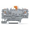 Disconnect terminal block - 2202-1971 - WAGO