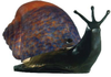 102414 Lamps-Accent Lamps - 470308 - Capital Lighting, Inc.