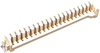 Card Edge Conn, Single, 20Pos, Solder Rohs Compliant Edac - 60AK9549 - Newark, An Avnet Company