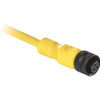 Plug/Receptacle - Radwell International