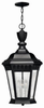 Exterior -Hanging - 259024 - Light Center (The)