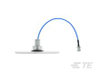Antennas - CFSA35606P-B30D43F - TE Connectivity