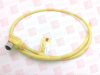 Electrical Cable/Wire -- 121541444