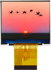 All Shore Industries, Inc. > Liquid Crystal Displays | - ASI-T-20043A5PMN/AY - All Shore Industries