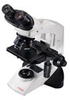 9135014 - Labomed Basic Phase Contrast Microscope, Binocular -- GO-49402-11 - Image
